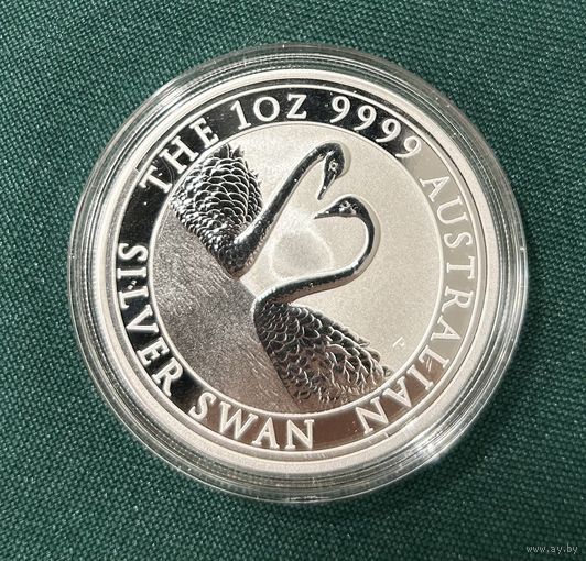 Лебеди 2022 австралия