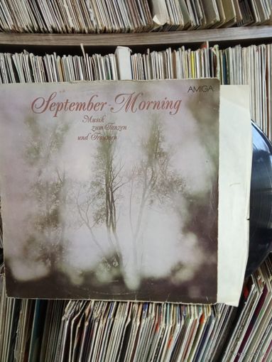 September Morning винил