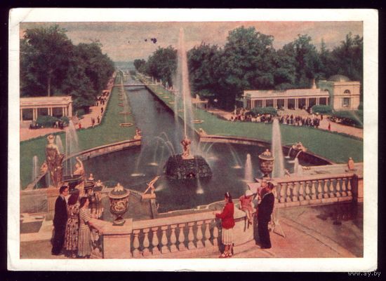 1959 год Ленинград Петродворец Вид на Большой каскад