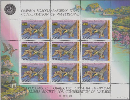 Россия 1995, Утки, Всероссийское общество охраны природы, ФАУНА,  MNH