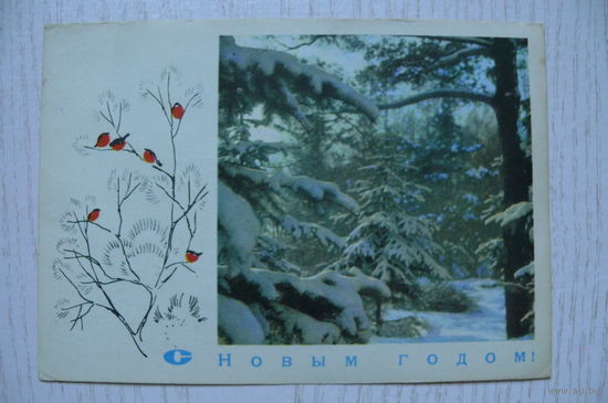 Филиппов И., С Новым годом! 1969, подписана (снегири).