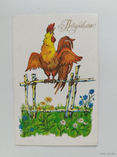 Поздравляю! Художник О. Долгих 1989 год, чистая (петух)