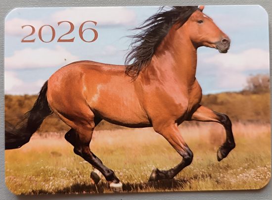 Лошадь. Календарик, глянец, 2026. Траско
