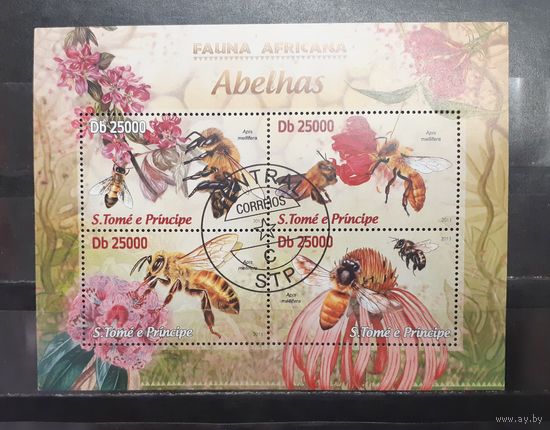 Сен-Томе и Принсипи. 2013 год. Фауна. Пчёлы (1285)