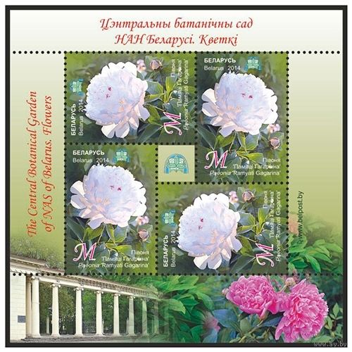2014г Беларусь MNH  Малый лист "Пион "Памяти Гагарина""
