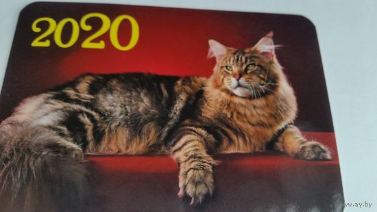 Календарик.Кошка на красном.2020
