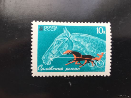 СССР 1968 год. Коневодство и конный спорт