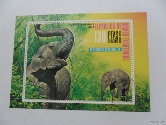 Экваториальная Гвинея, слоны