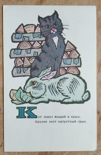 Сенновский Б. Кот и кролик. 1969 г. Чистая