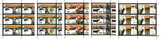 Фауна Животные. Домашние Беларусь 2007 год (720-724) серия из 5 марок в малых листах **