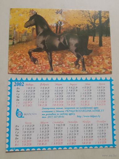 Карманный календарик. Лошадь. 2002 год