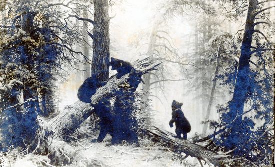 Почтовая карточка. Шишкин. Утро в сосновом лесу