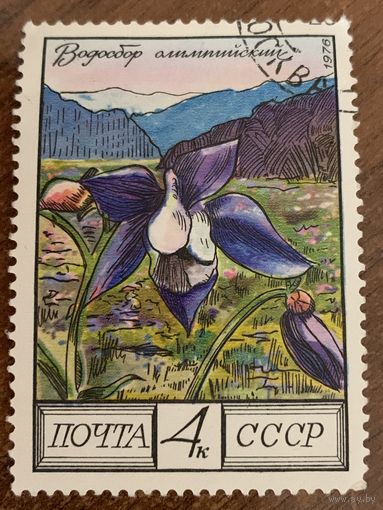 СССР 1976. Водосбор олимпийский. Марка из серии