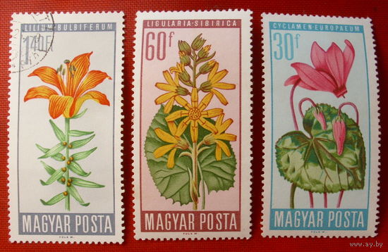 Венгрия. Цветы. ( 3 марки ) 1966 года.
