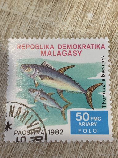 Мадагаскар 1982. Рыбы. Thunnus albacares. Марка из серии