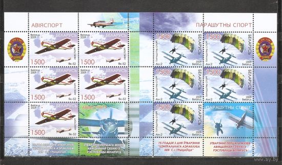 ФФ2 Беларусь 2009 Парашютный спорт