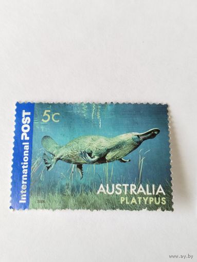 Австралия  2006