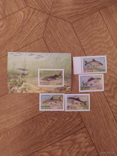 Беларусь блок и марки 1997 г. Рыбы.