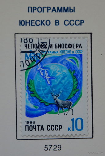 Ссср