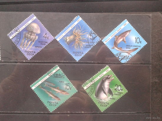 1991. Фауну Черного моря, полная серия