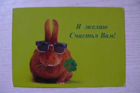 Я желаю Счастья Вам! я(11,5см*16,5см, кролик), чистая.