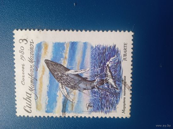 Куба кит1980 распродажа