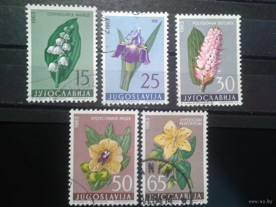 Югославия, 1963. Цветы