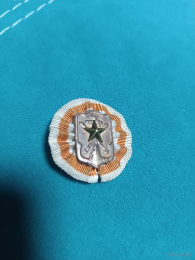 Знак почетного члена ассоциации резервистов.