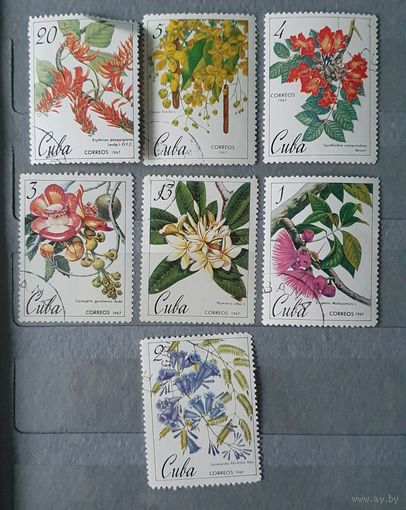 Куба цветы 7шт