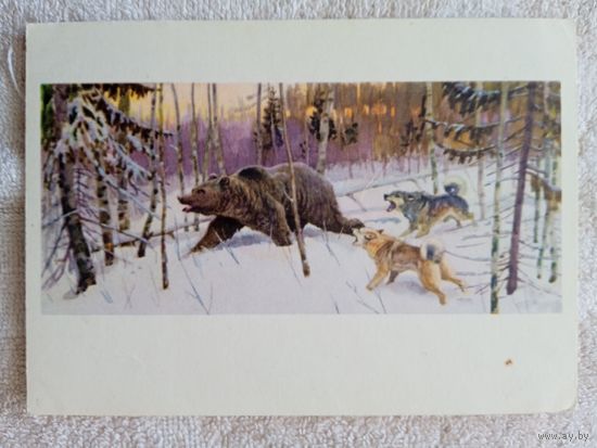 Охота. Сидоров. Не уйдёт!