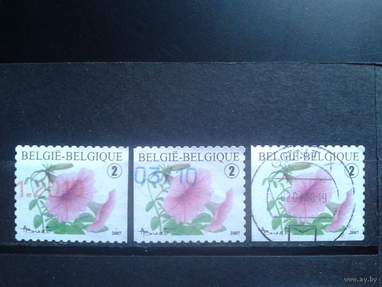 Бельгия 2007 Стандарт, петунии, разновидности Михель-6,0 евро гаш