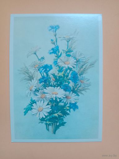 Открытка Попов,1982