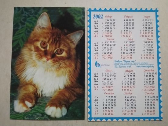 Карманный календарик . Котик. Белпочта. 2002 год