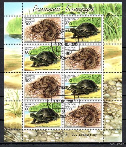 Рептилии Беларусь 2003 год (503-504) 1 малый лист из 4-х серий