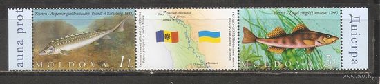 ФФ1 Молдова 2007 Рыбы