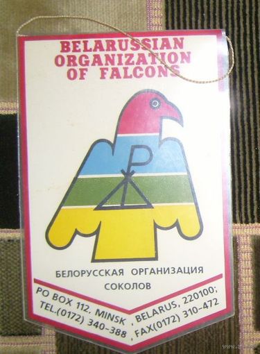 Белорусская организация соколов.