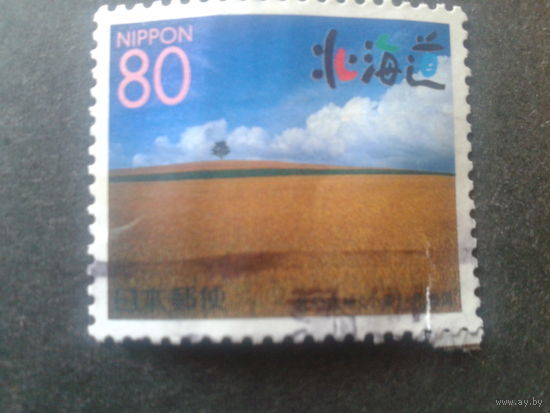 Япония 1999 поле