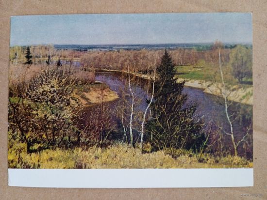 1960. Бродская. Весна близ Сорочинец