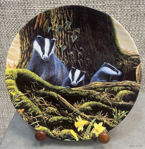 Декоративная настенная фарфоровая тарелка Royal Doulton Барсук в дозоре. Англия. 1990 год. 20.5 см