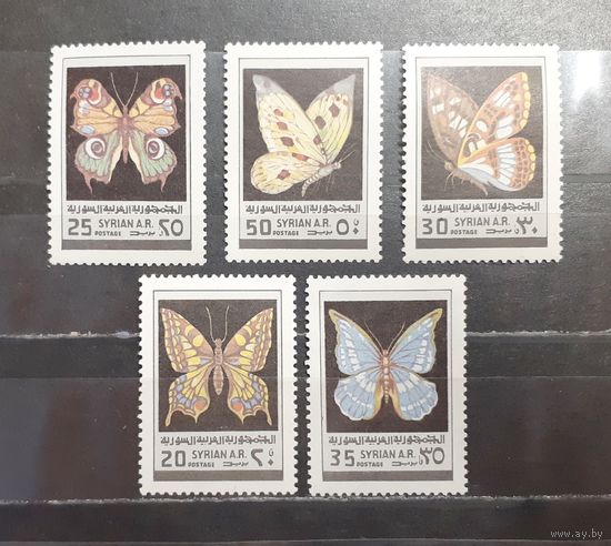Сирия. Фауна. Бабочки (1464)