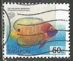 Сингапур. Рыба Ангел. 2001г. Mi#1081.