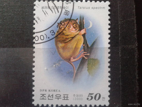 КНДР 2000 Обезьянка
