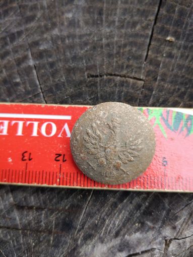 Орлик. Польша (21). Находка