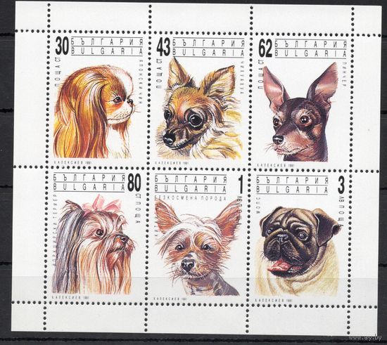Болгария 1991. Собаки лист (3930)