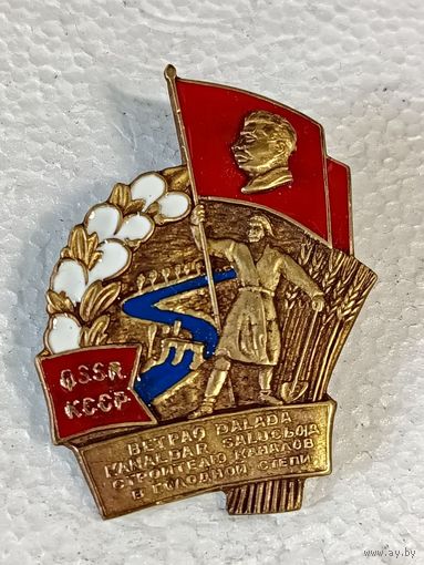 Знак ранних советов Строителю каналов в голодной степи реплика