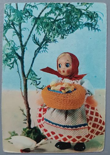 Птичница. Открытка чистая, 1968г.