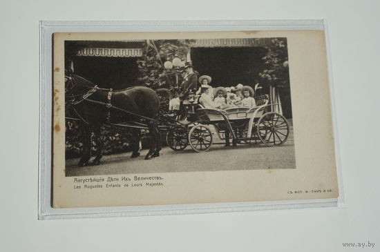 Августейшие Дети Их Величеств. 347 номер в каталоге. До 1904г. Les Augustes Enfants de Leurs Majestes. С фото Гань и Ко.