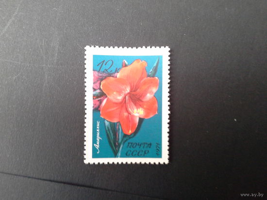 Ссср 1971 амариллис
