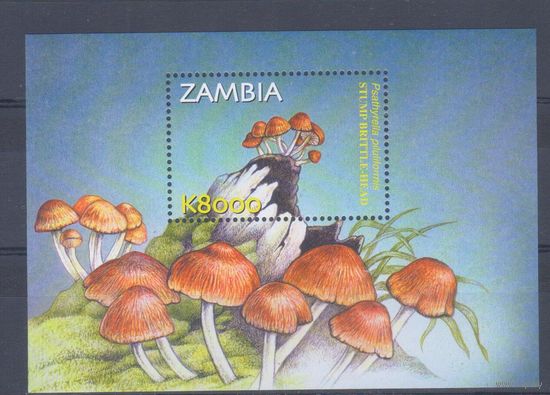 [585] Замбия 2002. Грибы. БЛОК MNH