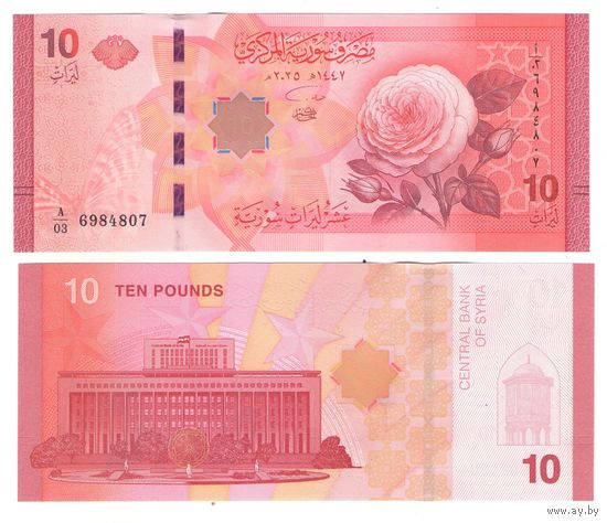 Сирия 10 фунтов 2025  год UNC (деноминированные)  НОВИНКА